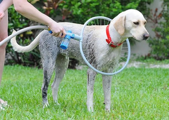 Automatischer Waschring für Haustiere – Hände frei & stressfreies Baden